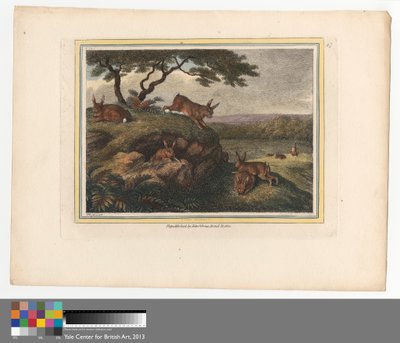 The Rabbit by Samuel Howitt