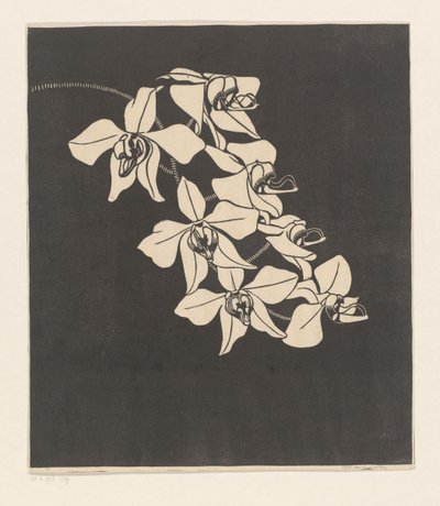 Orchids by Samuel Jessurun de Mesquita (signed by artist)