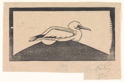 Gannet by Samuel Jessurun de Mesquita