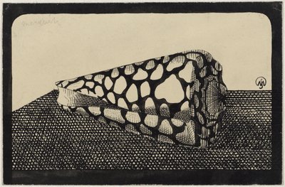 Shell, Facing Left by Samuel Jessurun de Mesquita