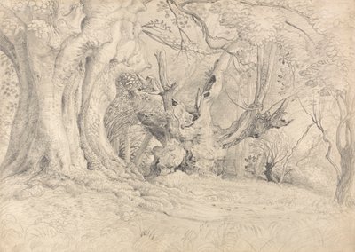 Ancient Trees, Lullingstone Park by Samuel Palmer