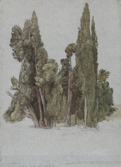 The Cypresses at the Villa d
