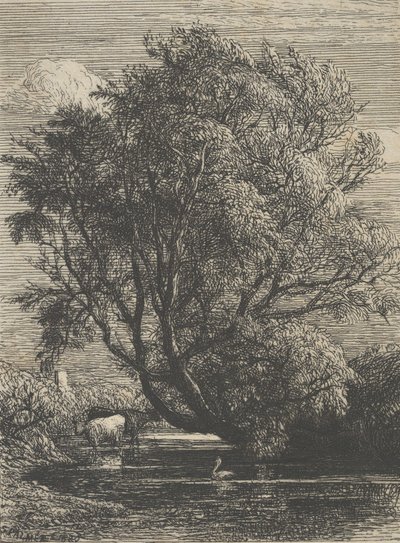 The Willow by Samuel Palmer