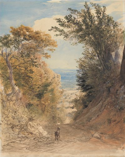 View from Rook