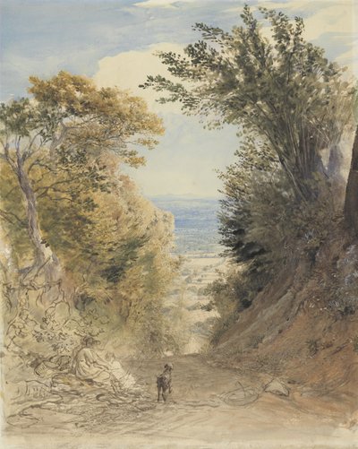 View from Rook