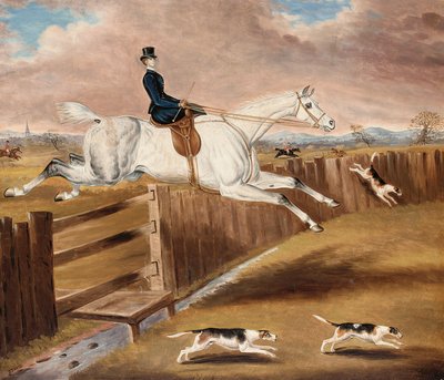 Over the Fence by Samuel Spode