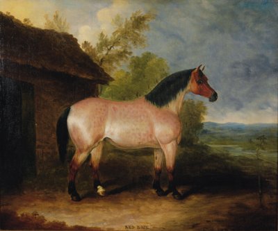 Red Rose Before a Stable by Samuel Spode