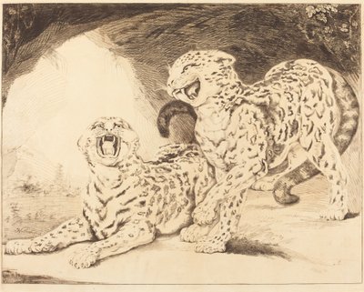 Leopards by Samuel William Reynolds I after James Northcote