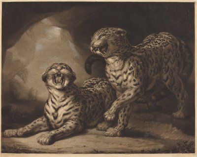 Leopards by Samuel William Reynolds I after James Northcote