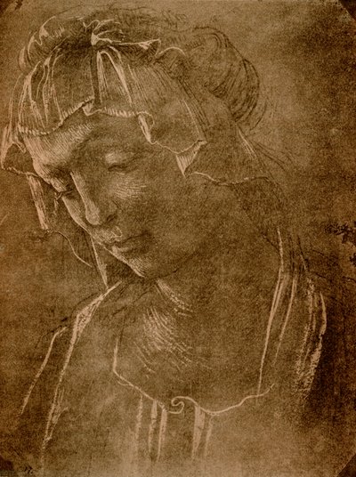 Female Head by Sandro Botticelli