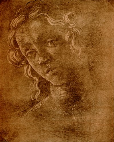 Female Head by Sandro Botticelli