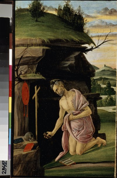 Unknown Picture by Sandro Botticelli