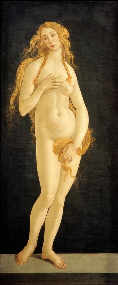 Venus by Sandro Botticelli