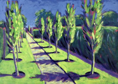Avenue by Sara Hayward