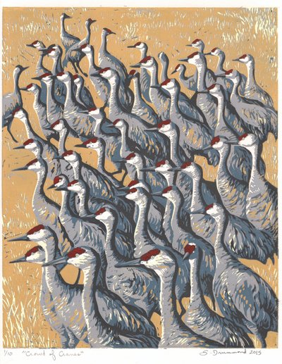 Crowd of Cranes by Sarah Drummond