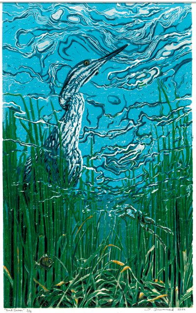 Pond Gazer by Sarah Drummond