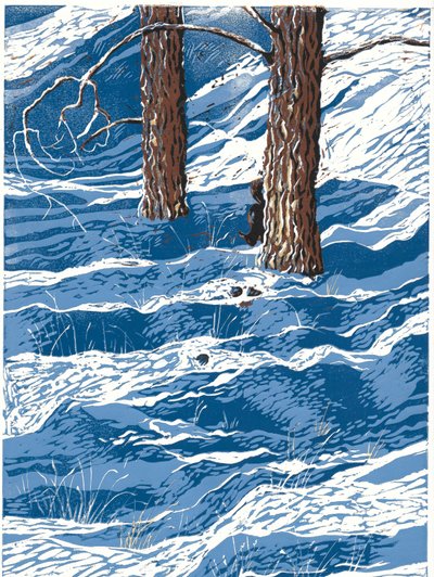 Spring Snowfall by Sarah Drummond