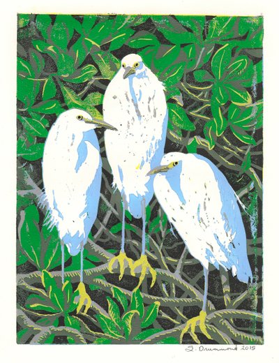 Trio by Sarah Drummond