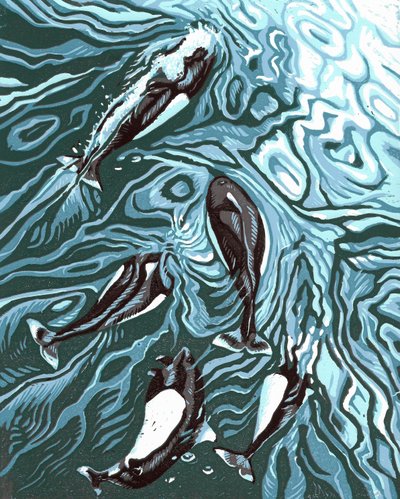 Wake Riders by Sarah Drummond