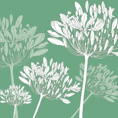 Agapanthus breeze, 2005 by Sarah Hough