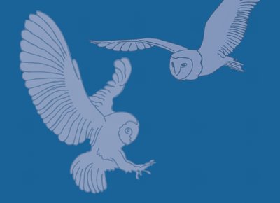 Barn Owls, 2017 by Sarah Hough