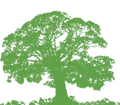 Climbing Tree by Sarah Hough