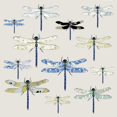 Odonata by Sarah Hough