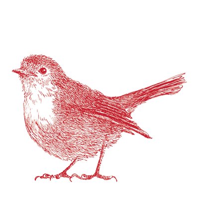 Robin, 2017 by Sarah Hough