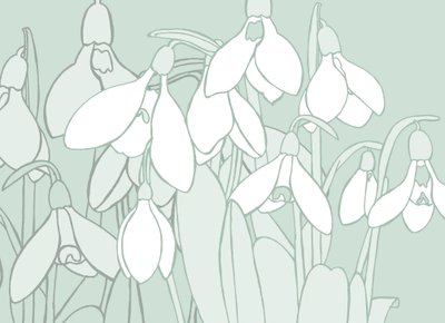 Snowdrops, 2017 by Sarah Hough