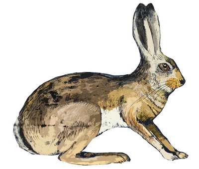 Hare, 2024 (monoprint) by Sarah Thompson Engels