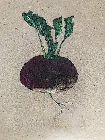 Turnip, 2024 by Sarah Thompson Engels