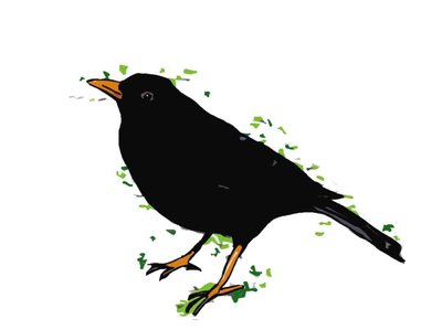 Blackbird by Sarah Thompson Engels