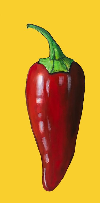 Chilli by Sarah Thompson Engels