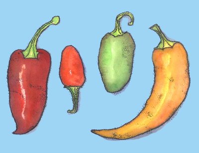 Chilli Peppers by Sarah Thompson Engels