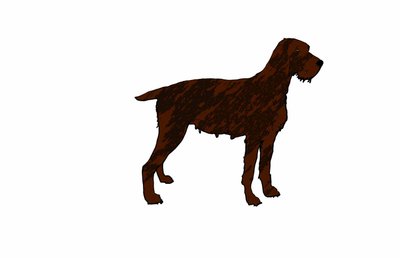 Dog, 2018 by Sarah Thompson Engels