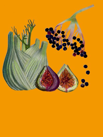 Fruit & Veggies Cutout by Sarah Thompson Engels