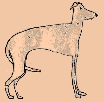 Skinny Dog by Sarah Thompson Engels