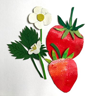 Strawberries by Sarah Thompson Engels