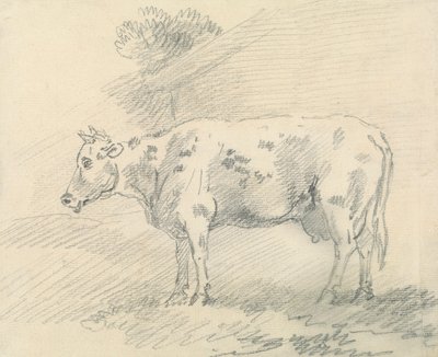 Cow by Sawrey Gilpin