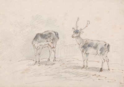 Doe and Buck by Sawrey Gilpin