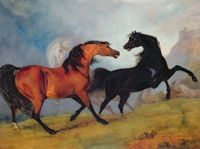 Horses Fighting by Sawrey Gilpin