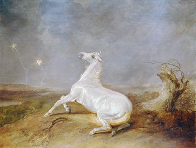 Mad Horse by Sawrey Gilpin