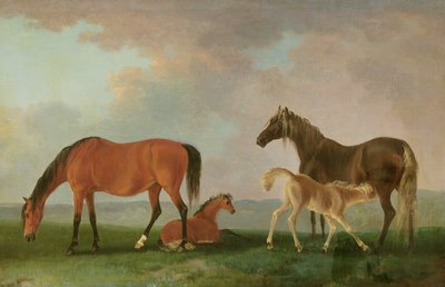 Mares and Foals by Sawrey Gilpin