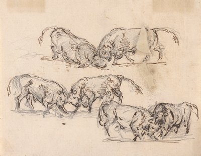 Studies of Bull Fighting by Sawrey Gilpin