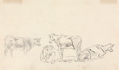 Study of Cattle by Sawrey Gilpin