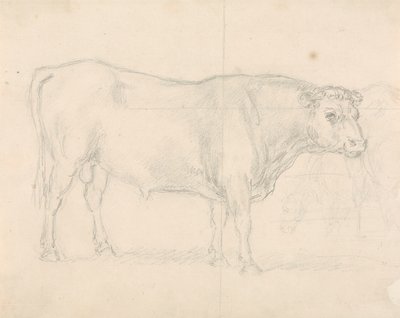 Study of a Bull by Sawrey Gilpin