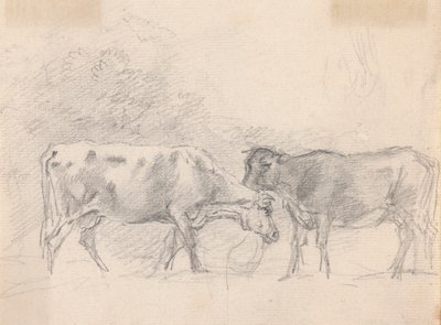 Two Cows Grazing by Sawrey Gilpin