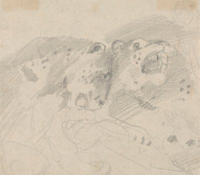 Two Leopards by Sawrey Gilpin