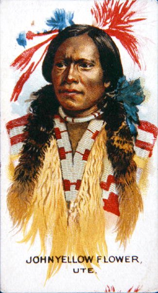 John Yellow Flower by School American