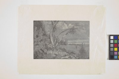 Landscape by School American